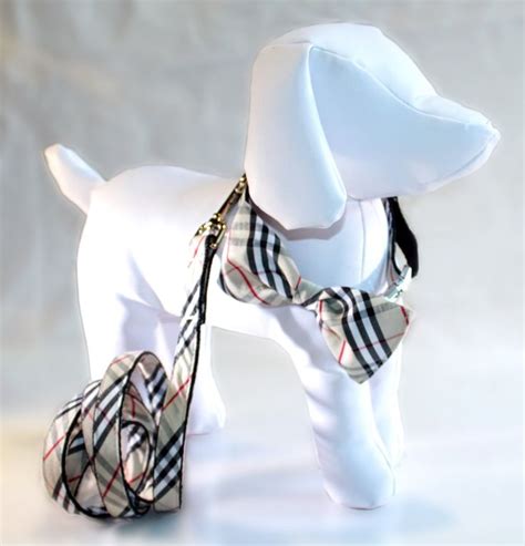 burberry dog bow tie